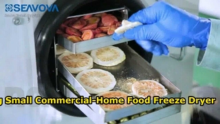 Freeze Dry Food At Home HF100