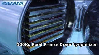 100Kg Food Freeze Dryer Lyophilizer NovaDryer FD100