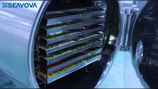 100Kg Industrial Food Freeze Dryer Lyophilizer NovaDryer-FD100