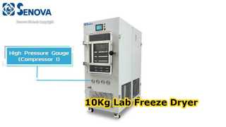 10Kg Pilot Freeze Dryer Lab Lyophilizer
