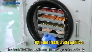 Home Freeze Dryer JF400 4Kg Easy Use