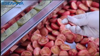 50Kg Food Industrial Lyophilizer Freeze Dryer NovaDryer-FD50