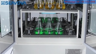 Máy ấp trứng lắc sàn công suất lớn DS-5031