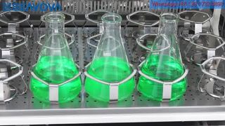 Tủ ấm lắc quỹ đạo làm lạnh DS-5055 với quỹ đạo 50mm và cửa kép