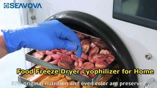 4Kg Home Freeze Dryer Lyophilizer Easy Food Preservation
