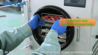 Máy sấy đông lạnh gia đình để bàn 4Kg HM400