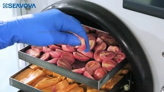 Сублимационная сушилка для дома, 4 кг, лиофилизатор JF400