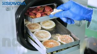 1Kg 2Kg Commercial Freeze Dryer Lyophilizer NovaDryer-HF100