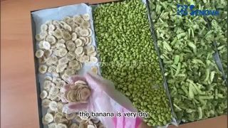 Обзор сублимационной сушилки HF400 от Веры из Индонезии