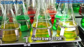 CO2 Incubator Shaker ST-213R