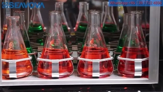 Máy lắc tủ ấm ST-203RX2 với bệ lắc 2 tầng