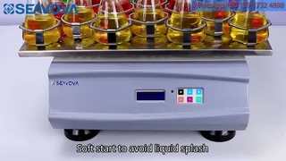 Máy lắc phòng thí nghiệm quỹ đạo để bàn DBS-602