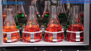 Máy ủ phòng thí nghiệm tuyến đường không đông lạnh ST-203X2