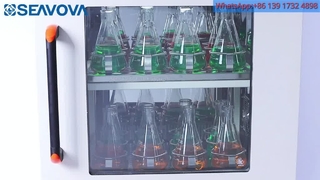 Tủ ấm lắc phòng thí nghiệm sàn lạnh DS-5033